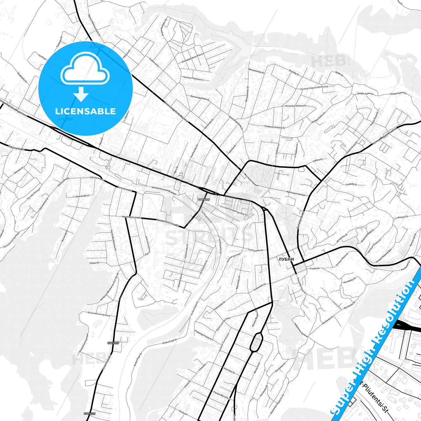 Lubny, Ukraine Light Map with Street Names, City Names, and Districts