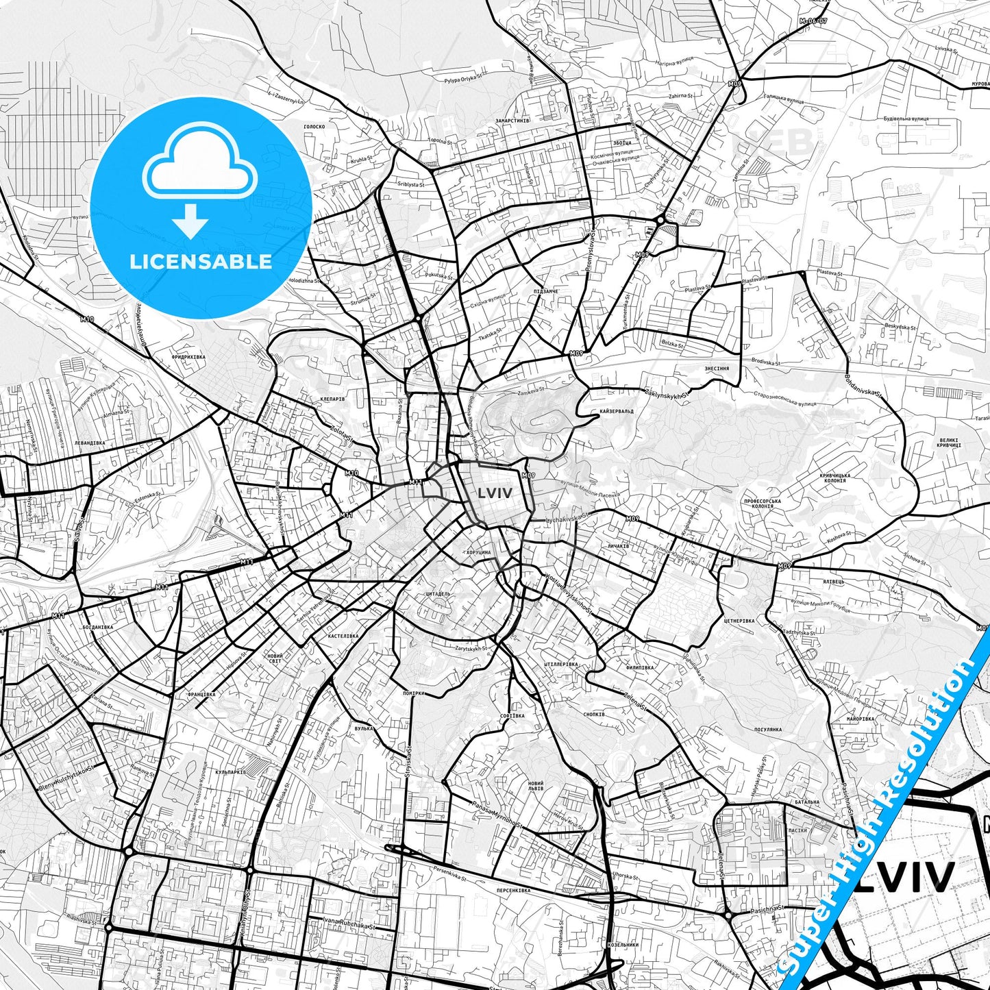 Lviv, Ukraine Light Map with Street Names, City Names, and Districts
