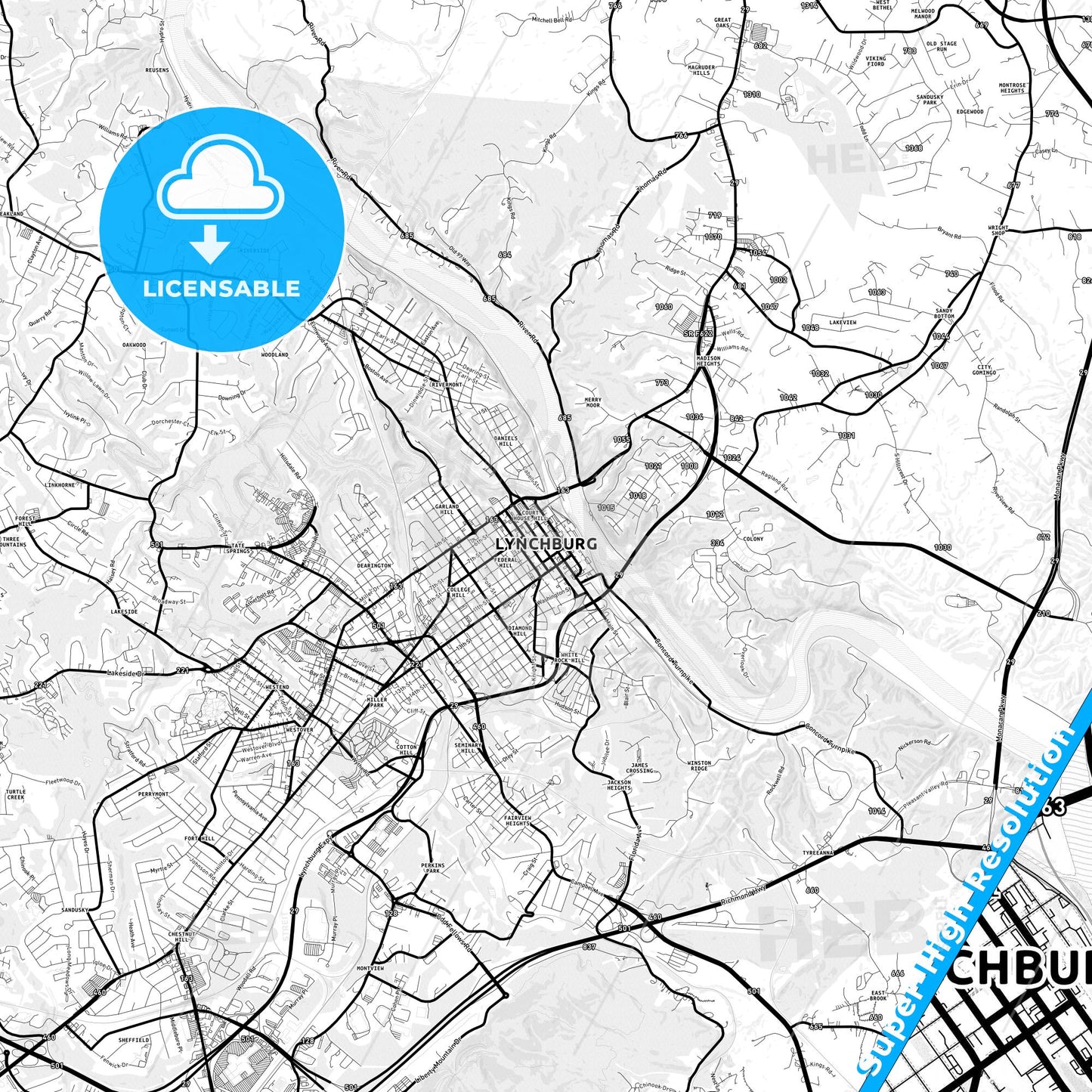 Lynchburg, Virginia Light Map with Street Names, City Names, and Districts
