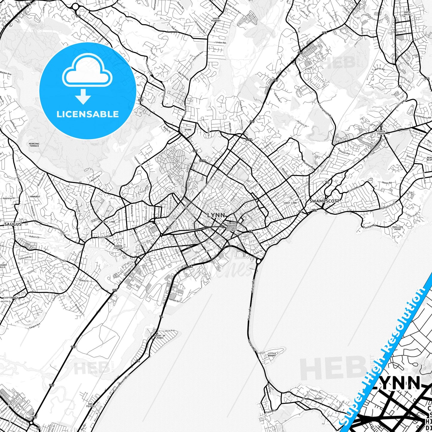 Lynn, Massachusetts Light Map with Street Names, City Names, and Districts