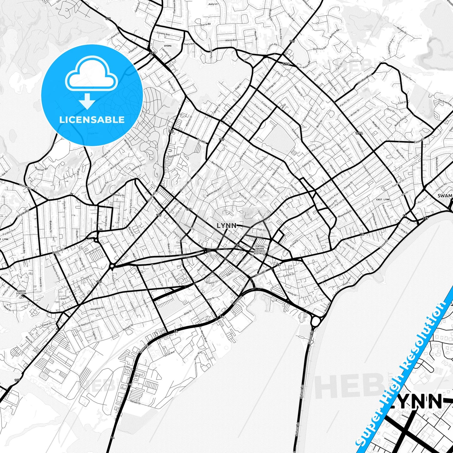 Lynn, Massachusetts Light Map with Street Names, City Names, and Districts