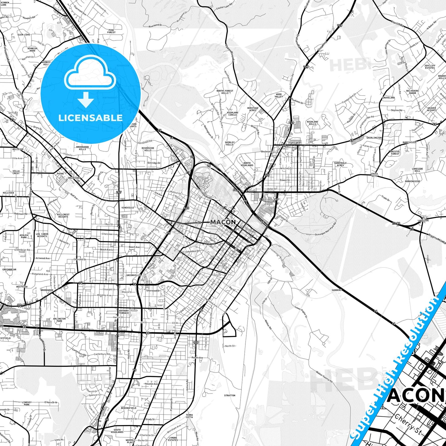 Macon, Georgia Light Map with Street Names, City Names, and Districts