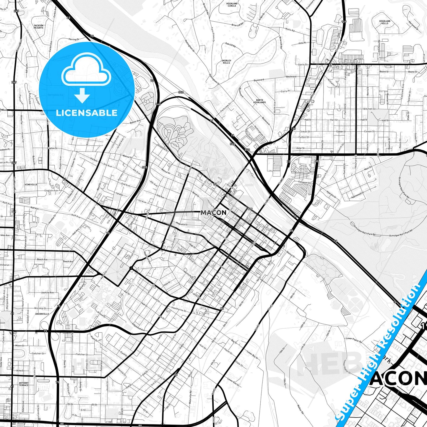 Macon, Georgia Light Map with Street Names, City Names, and Districts