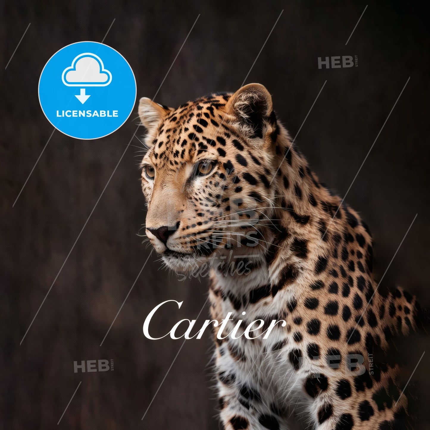 Majestic Leopard Portrait Displaying Elegance and Strength, Perfect for Luxury Brand Marketing and Wildlife Themes.
