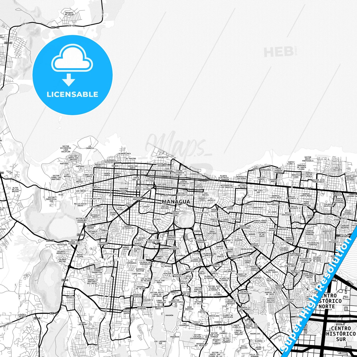 Managua, Nicaragua Light Map with Street Names, City Names, and Districts