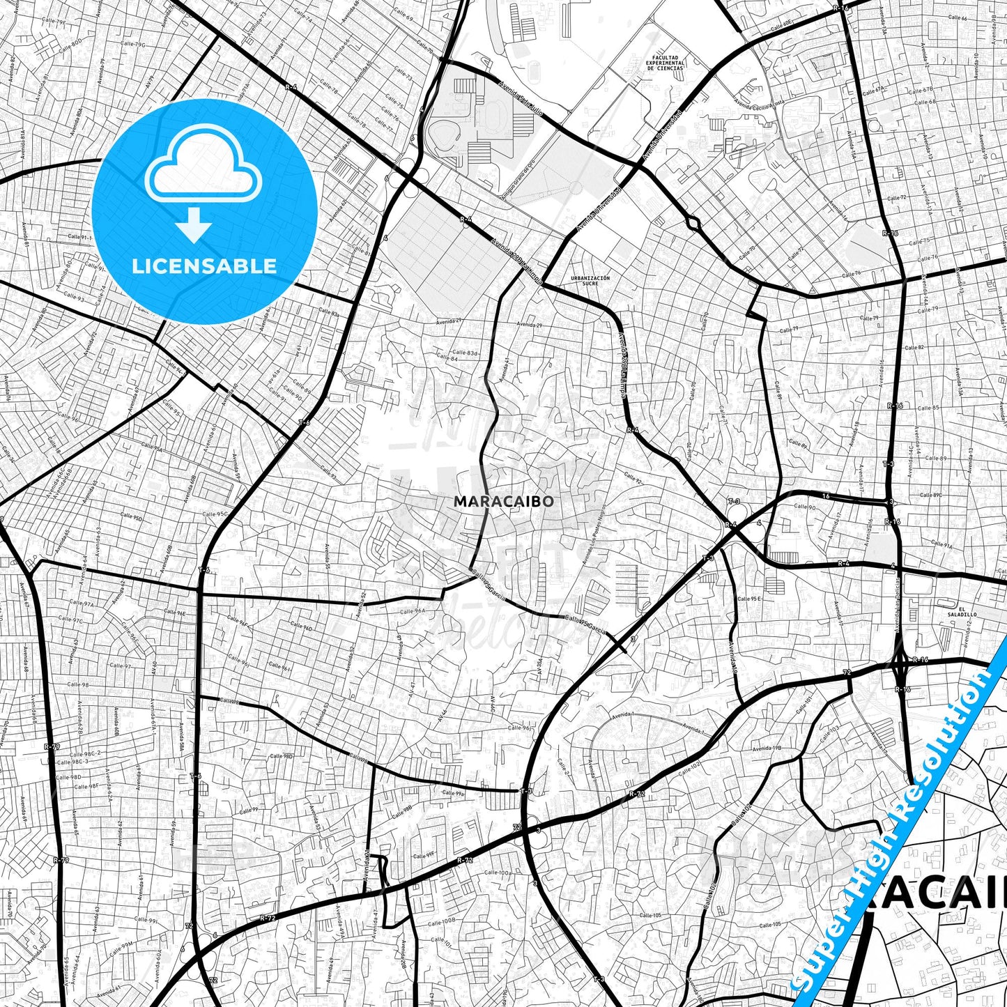 Maracaibo, Venezuela Light Map with Street Names, City Names, and Districts