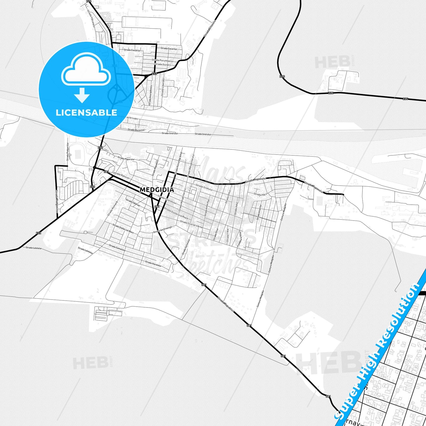 Medgidia, Romania Light Map with Street Names, City Names, and Districts
