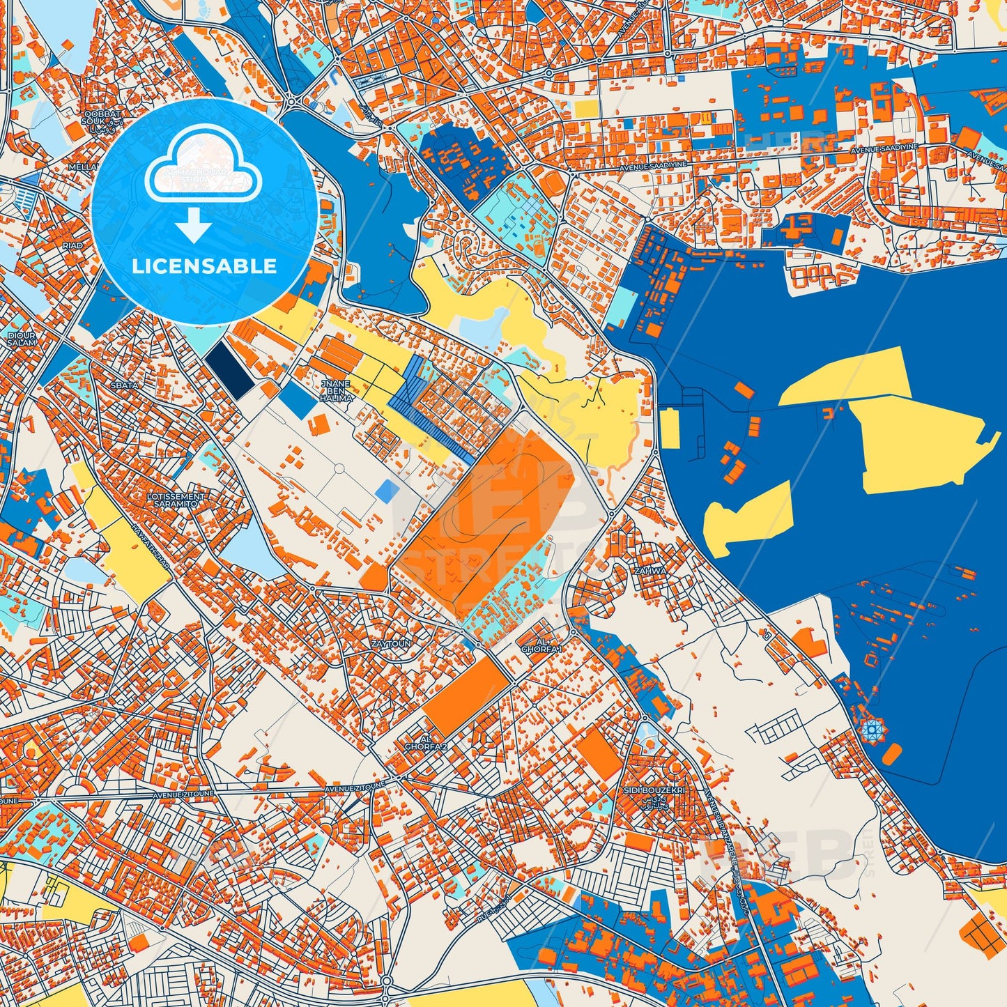 Colorful Meknes Street Map with Labels and Buildings