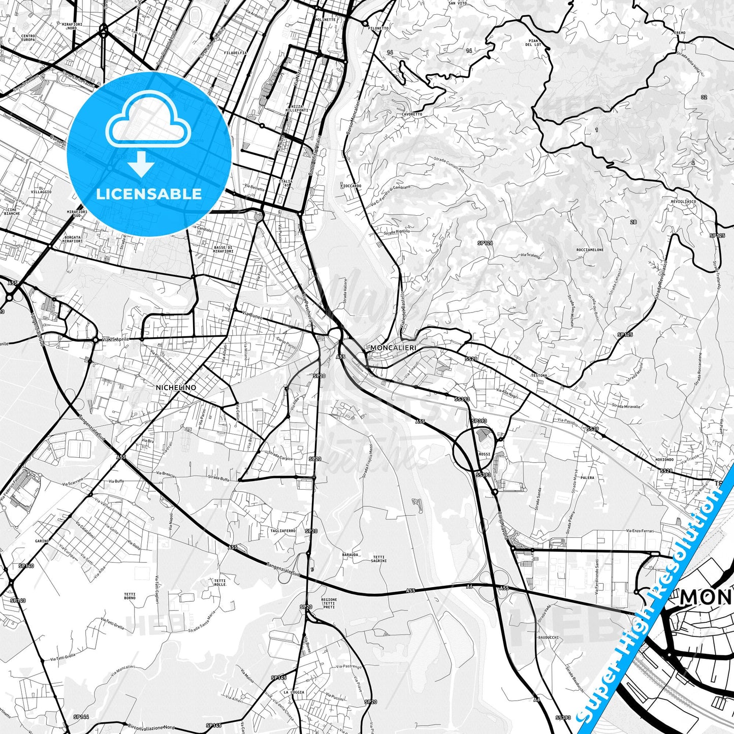 Moncalieri, Italy Light Map with Street Names, City Names, and Districts