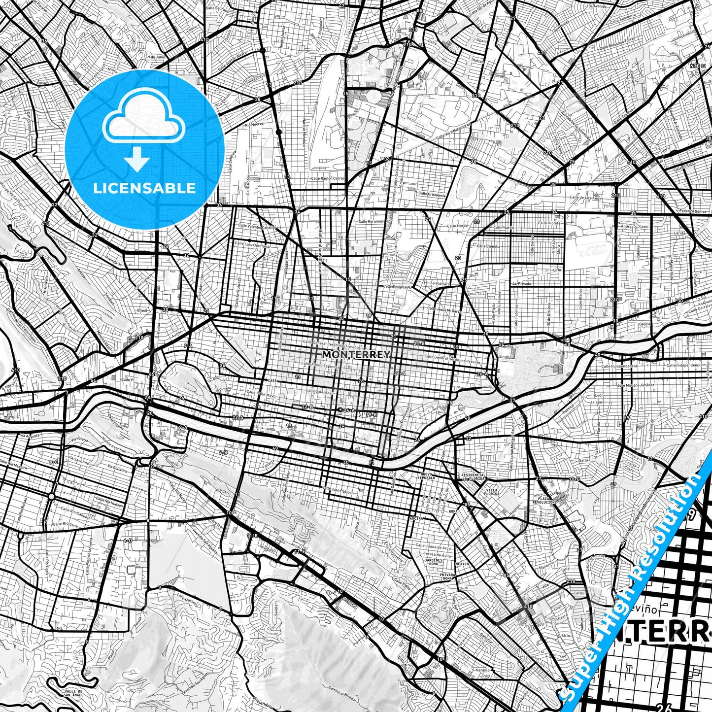 Monterrey, Mexico Light Map with Street Names, City Names, and Districts