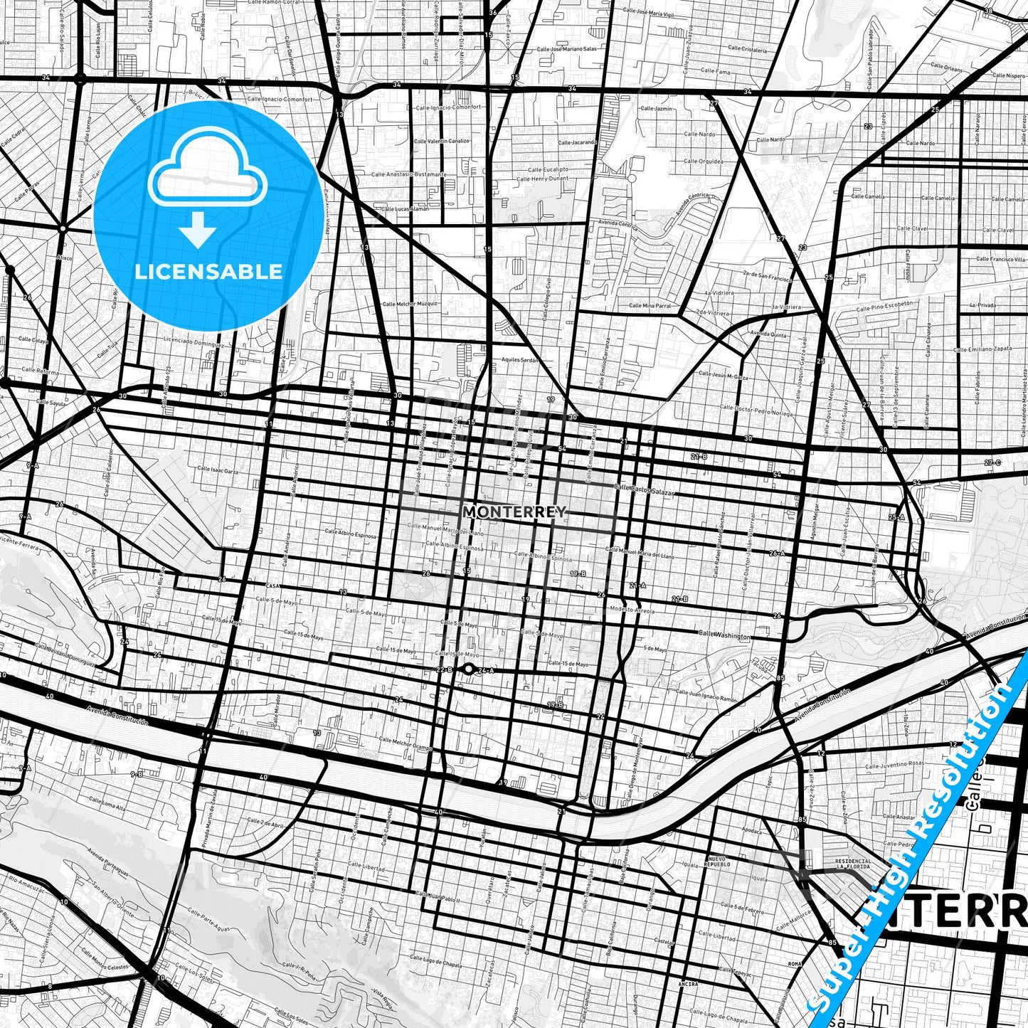 Monterrey, Mexico Light Map with Street Names, City Names, and Districts