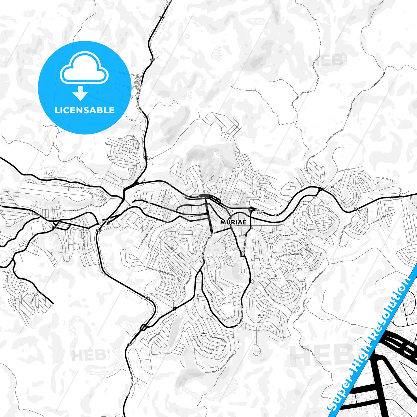 Muriae, Brazil Light Map with Street Names, City Names, and Districts