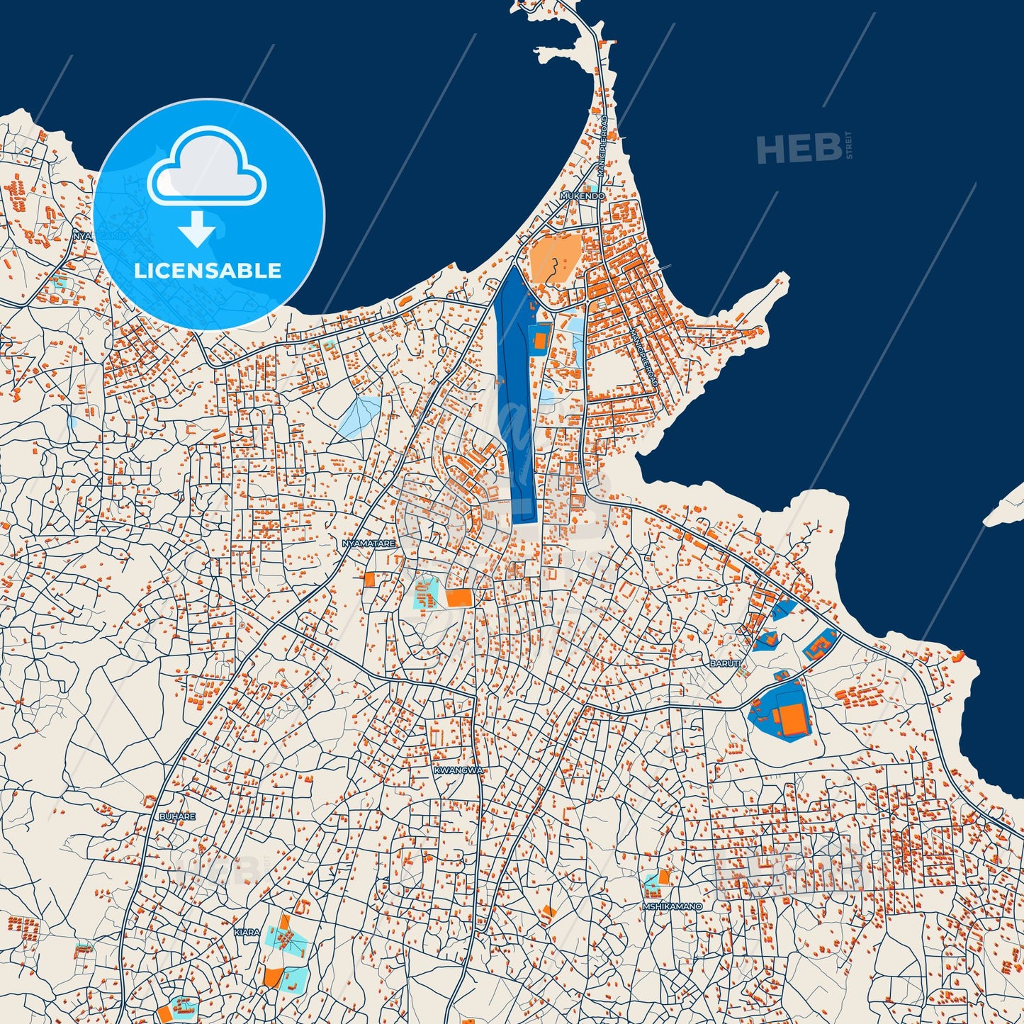 Colorful Musoma Street Map with Labels and Buildings