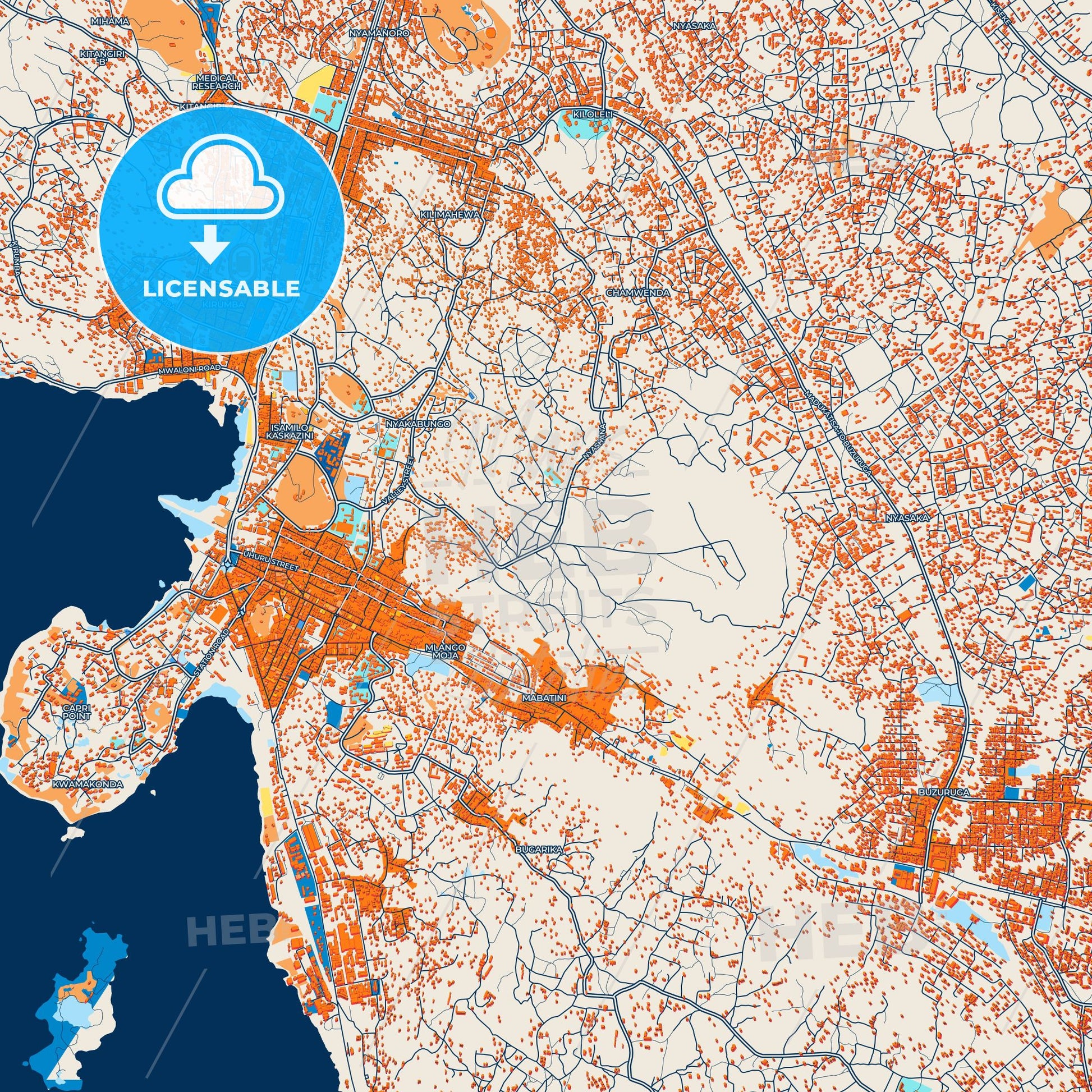 Colorful Mwanza Street Map with Labels and Buildings