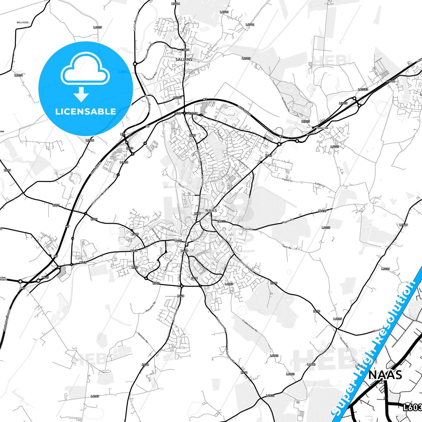 Naas, Ireland Light Map with Street Names, City Names, and Districts