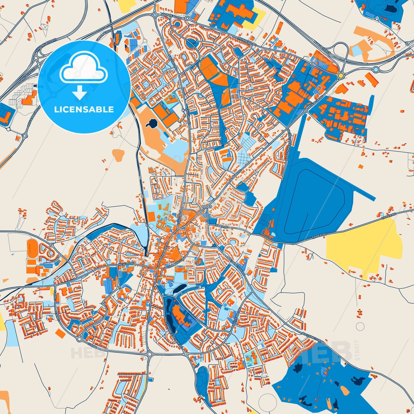 Colorful Naas Street Map with Labels and Buildings