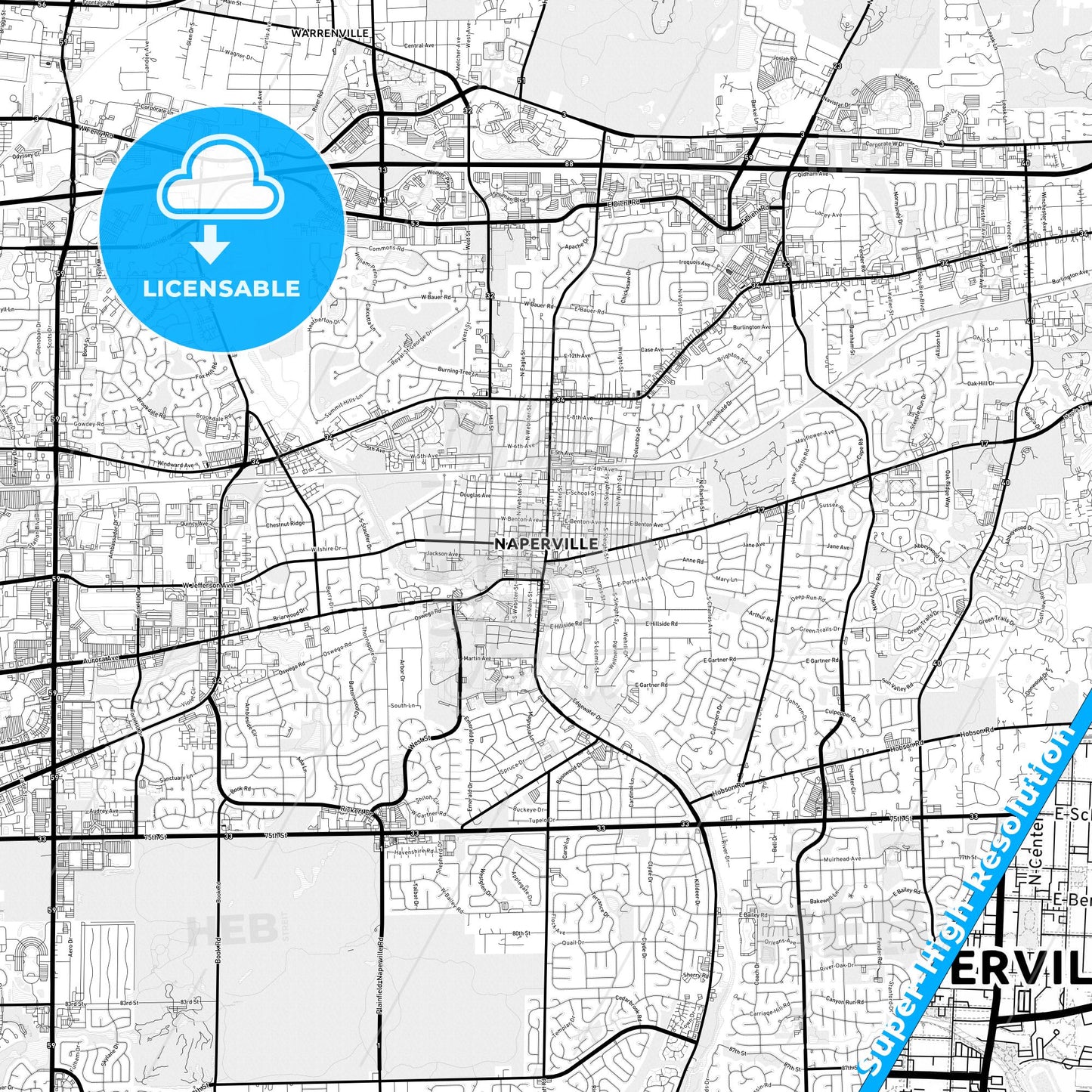 Naperville, Illinois Light Map with Street Names, City Names, and Districts