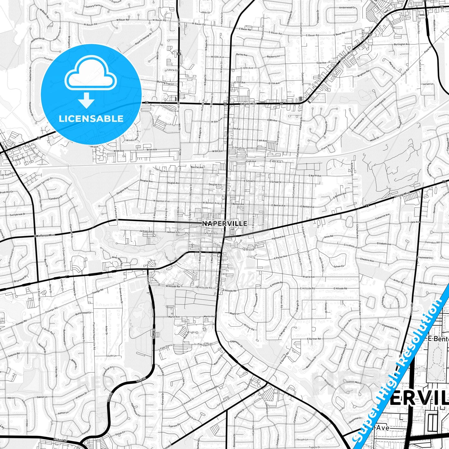 Naperville, Illinois Light Map with Street Names, City Names, and Districts