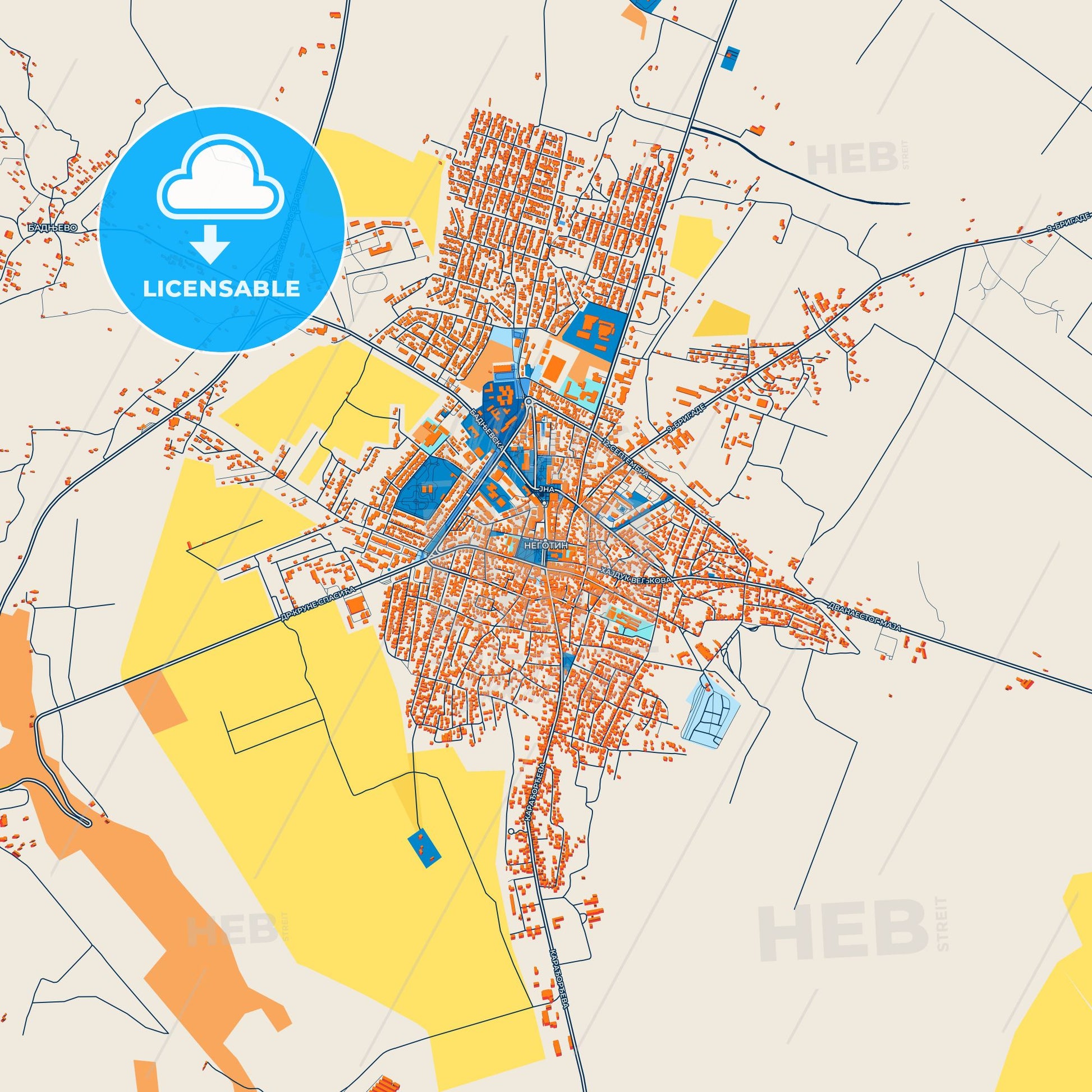 Colorful Negotin Street Map with Labels and Buildings