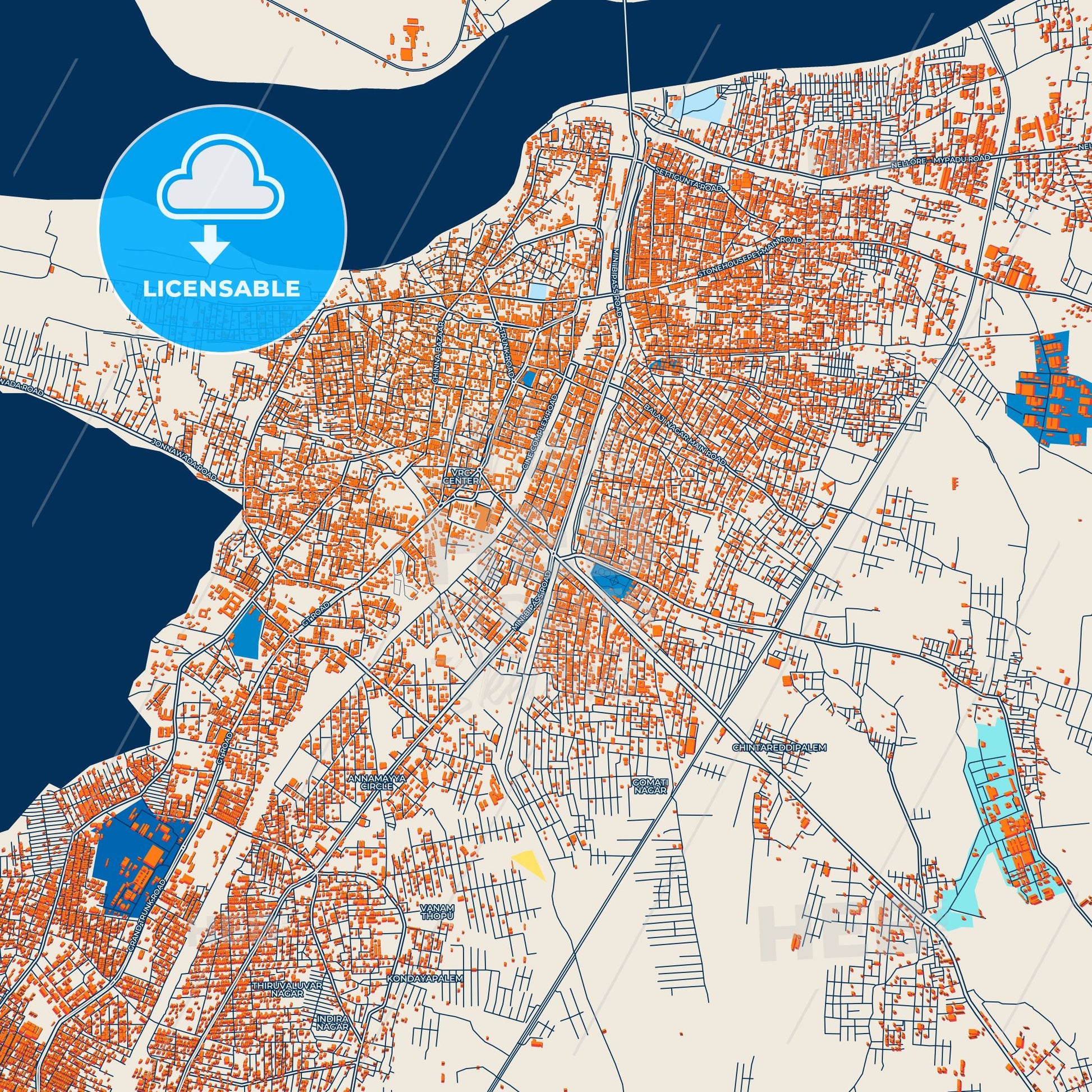 Colorful Nellore Street Map with Labels and Buildings