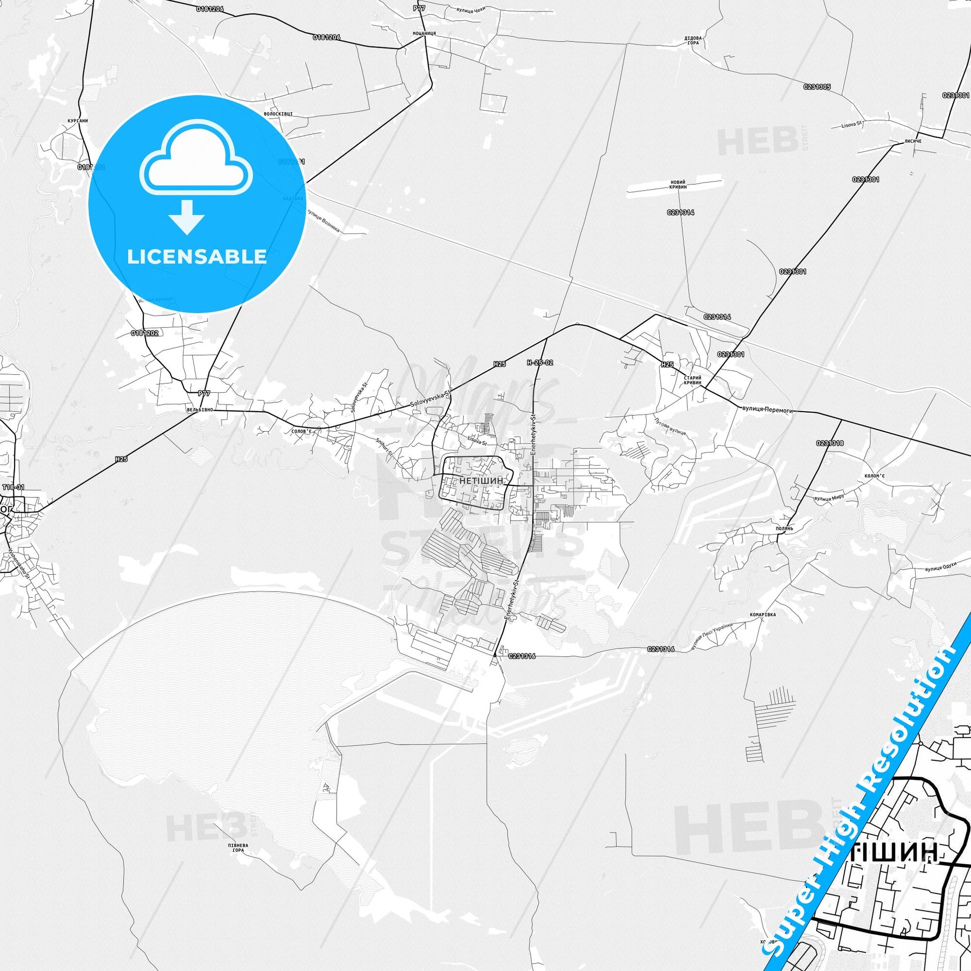 Netishyn, Ukraine light map with streetnames, citynames and districts