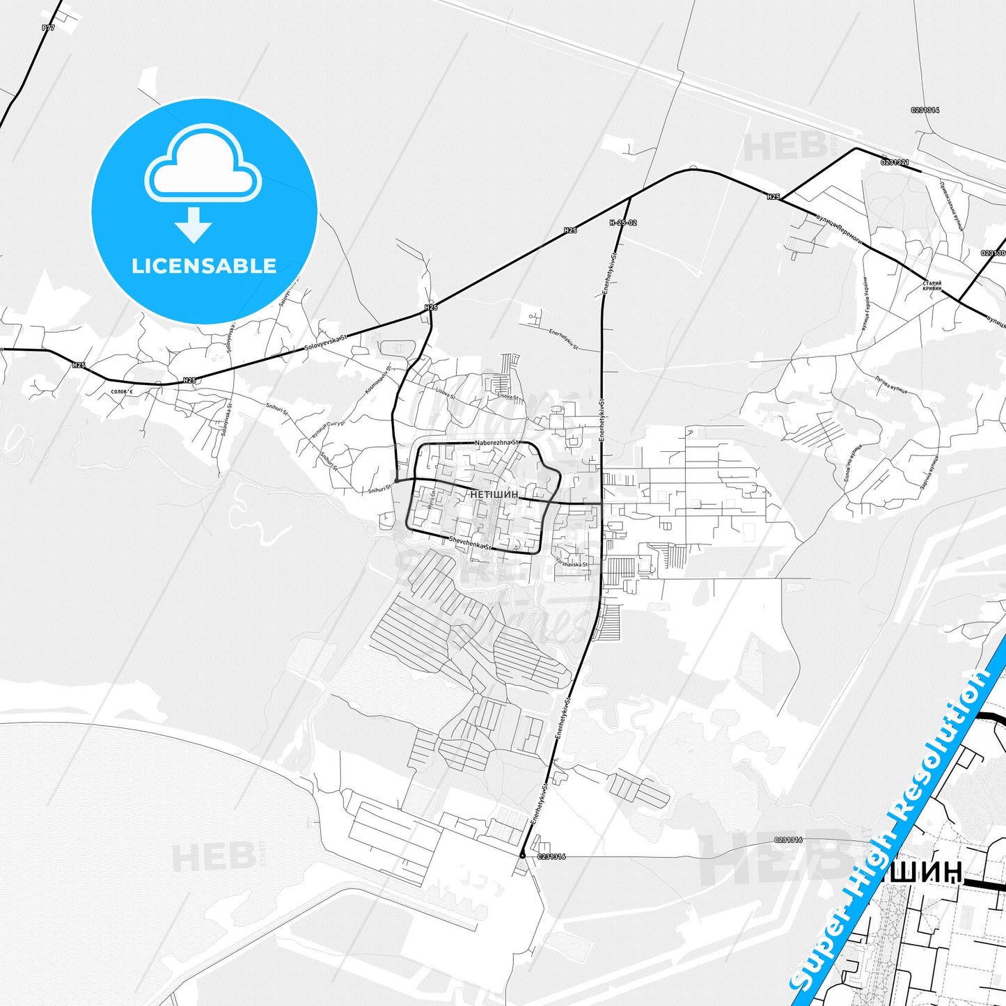 Netishyn, Ukraine Light Map with Street Names, City Names, and Districts