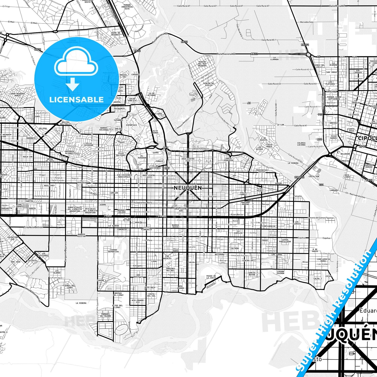 Neuquen, Argentina Light Map with Street Names, City Names, and Districts