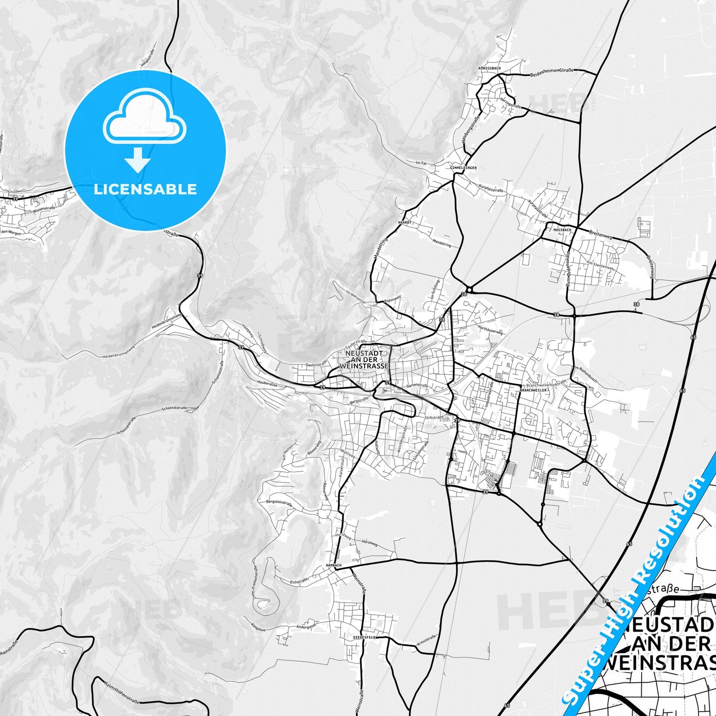 Neustadt an der Weinstraße, Germany Light Map with Street Names, City Names, and Districts