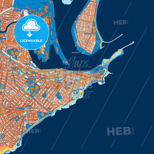 Colorful Newcastle–Maitland Street Map with Labels and Buildings