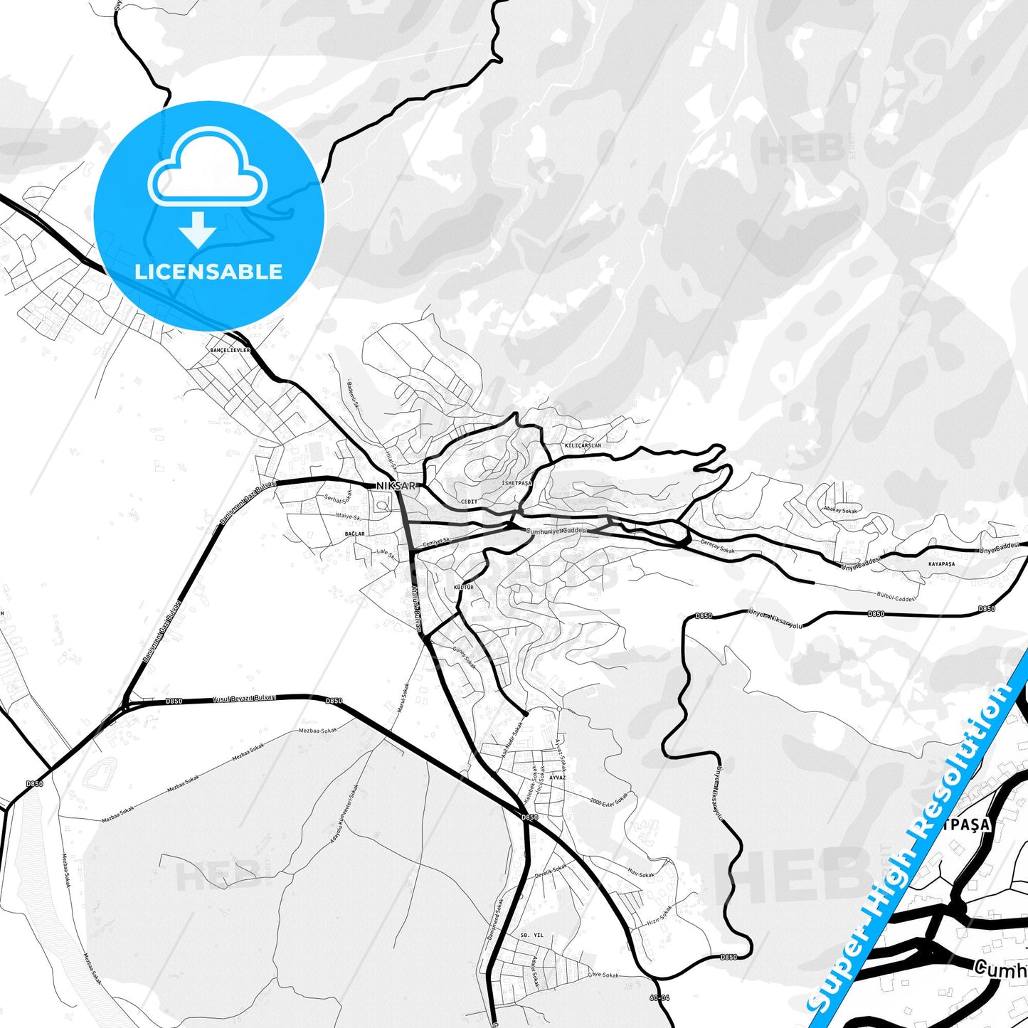Niksar, Turkey Light Map with Street Names, City Names, and Districts