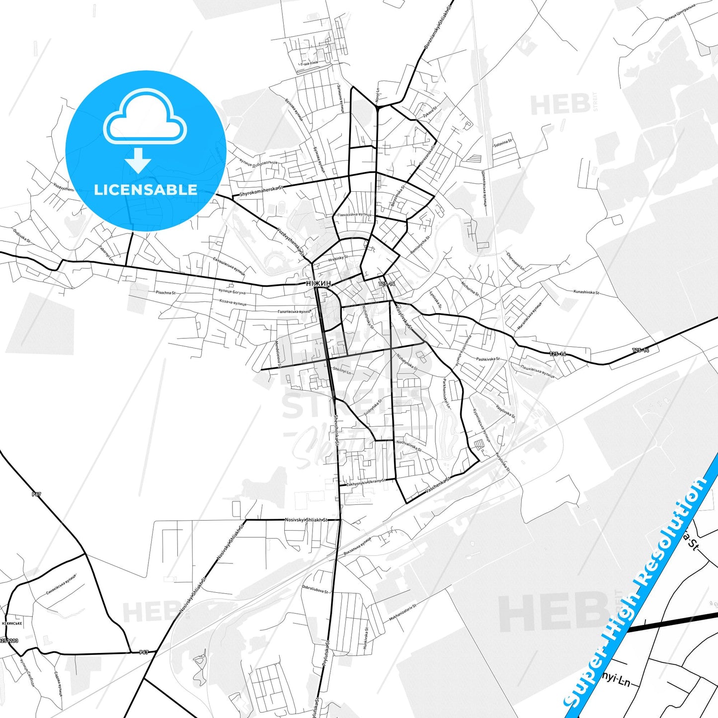 Nizhyn, Ukraine Light Map with Street Names, City Names, and Districts