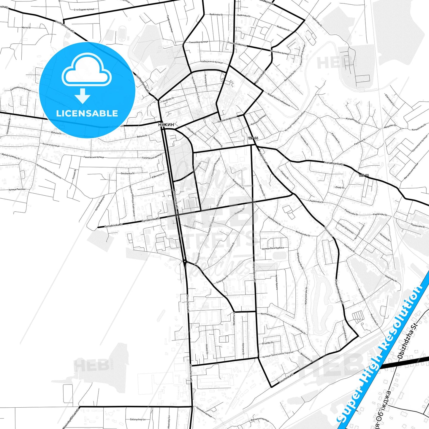Nizhyn, Ukraine Light Map with Street Names, City Names, and Districts
