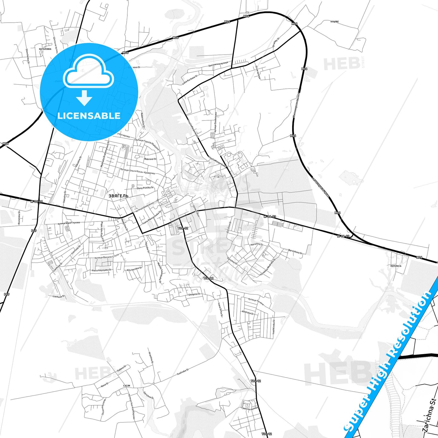 Novohrad-Volynskyi, Ukraine Light Map with Street Names, City Names, and Districts
