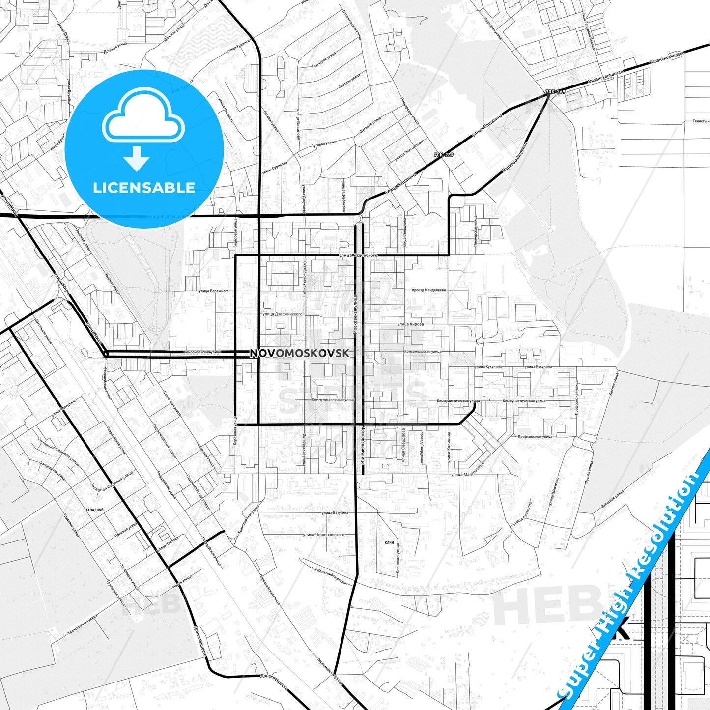 Novomoskovsk, Russia Light Map with Street Names, City Names, and Districts