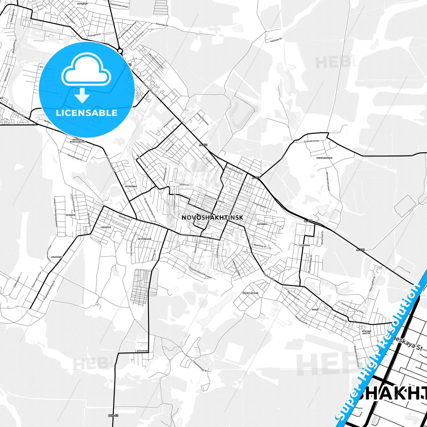 Novoshakhtinsk, Russia Light Map with Street Names, City Names, and Districts