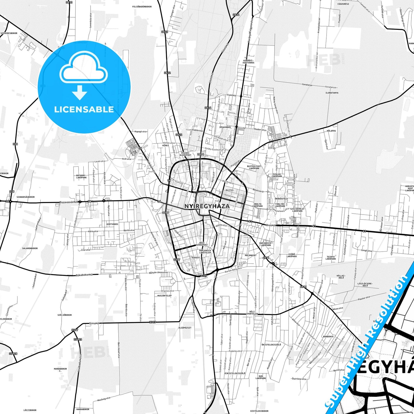 Nyíregyháza, Hungary Light Map with Street Names, City Names, and Districts