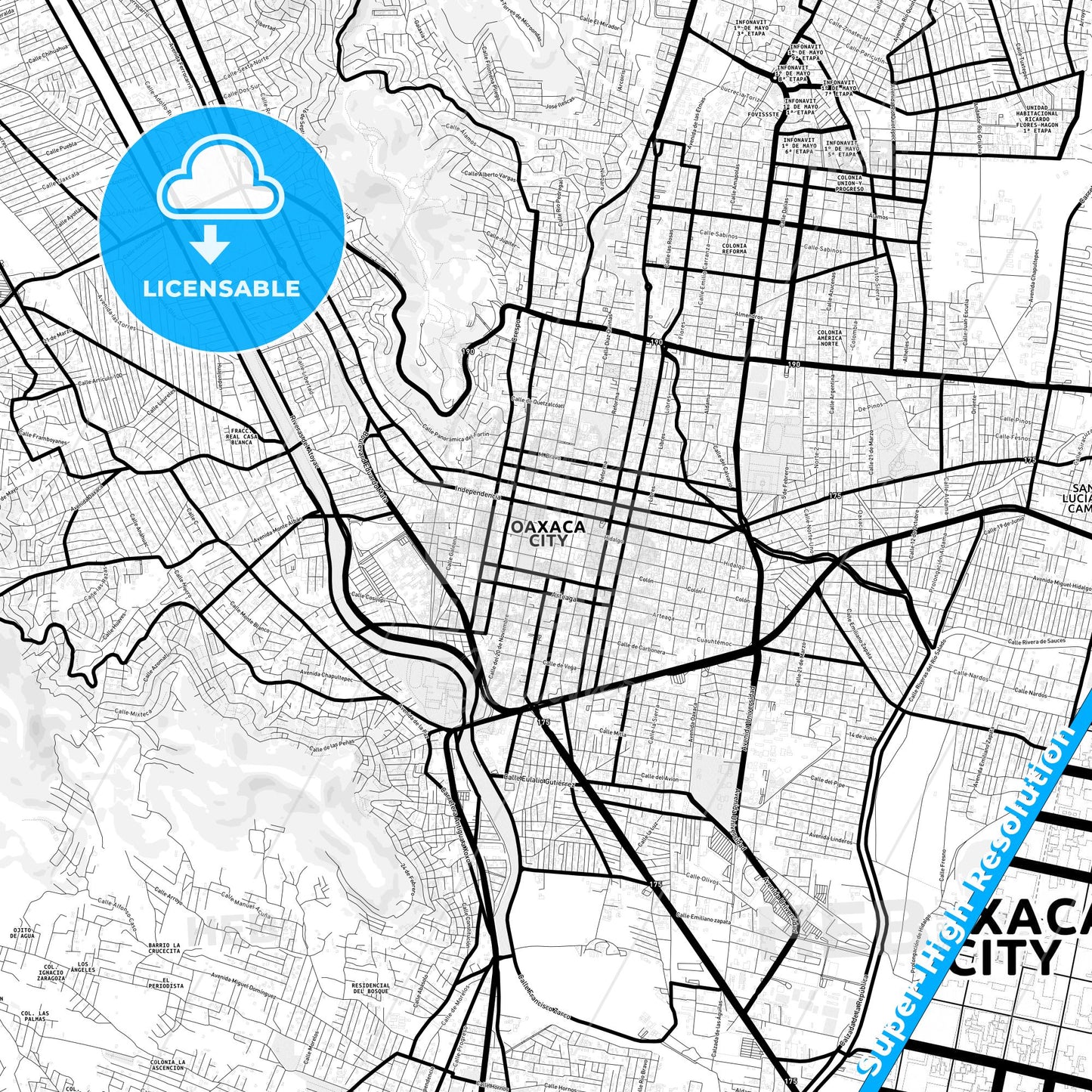 Oaxaca, Mexico Light Map with Street Names, City Names, and Districts