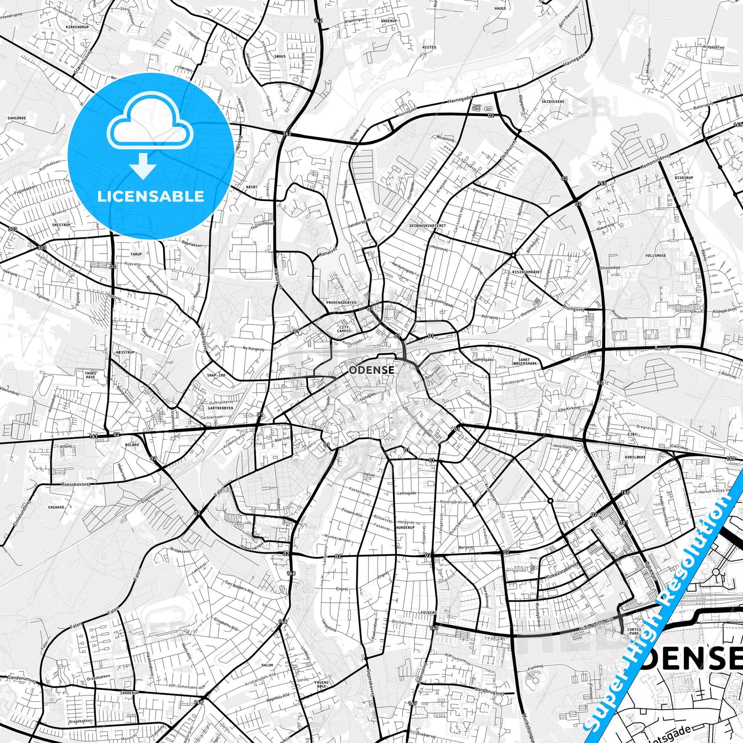 Odense, Denmark Light Map with Street Names, City Names, and Districts