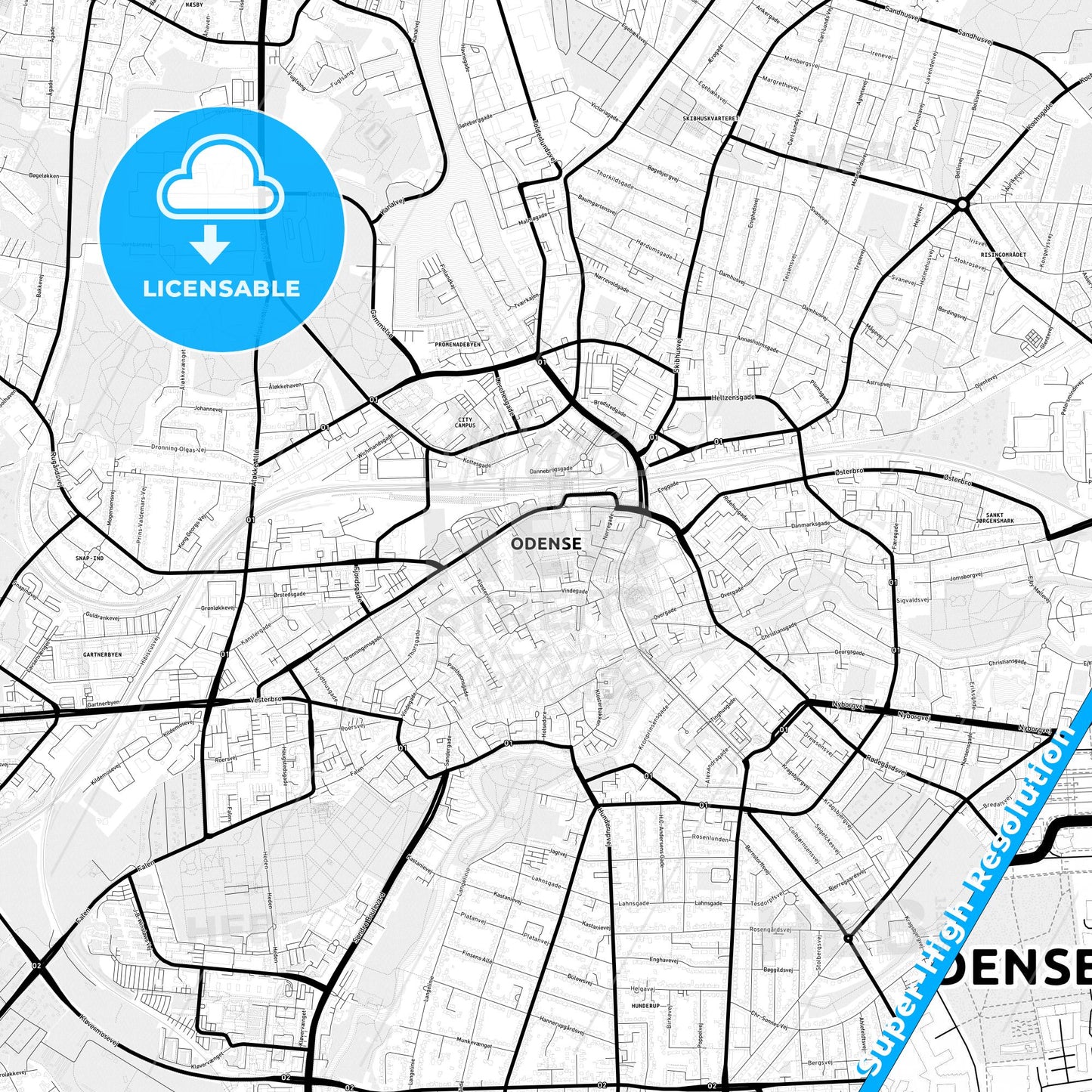 Odense, Denmark Light Map with Street Names, City Names, and Districts