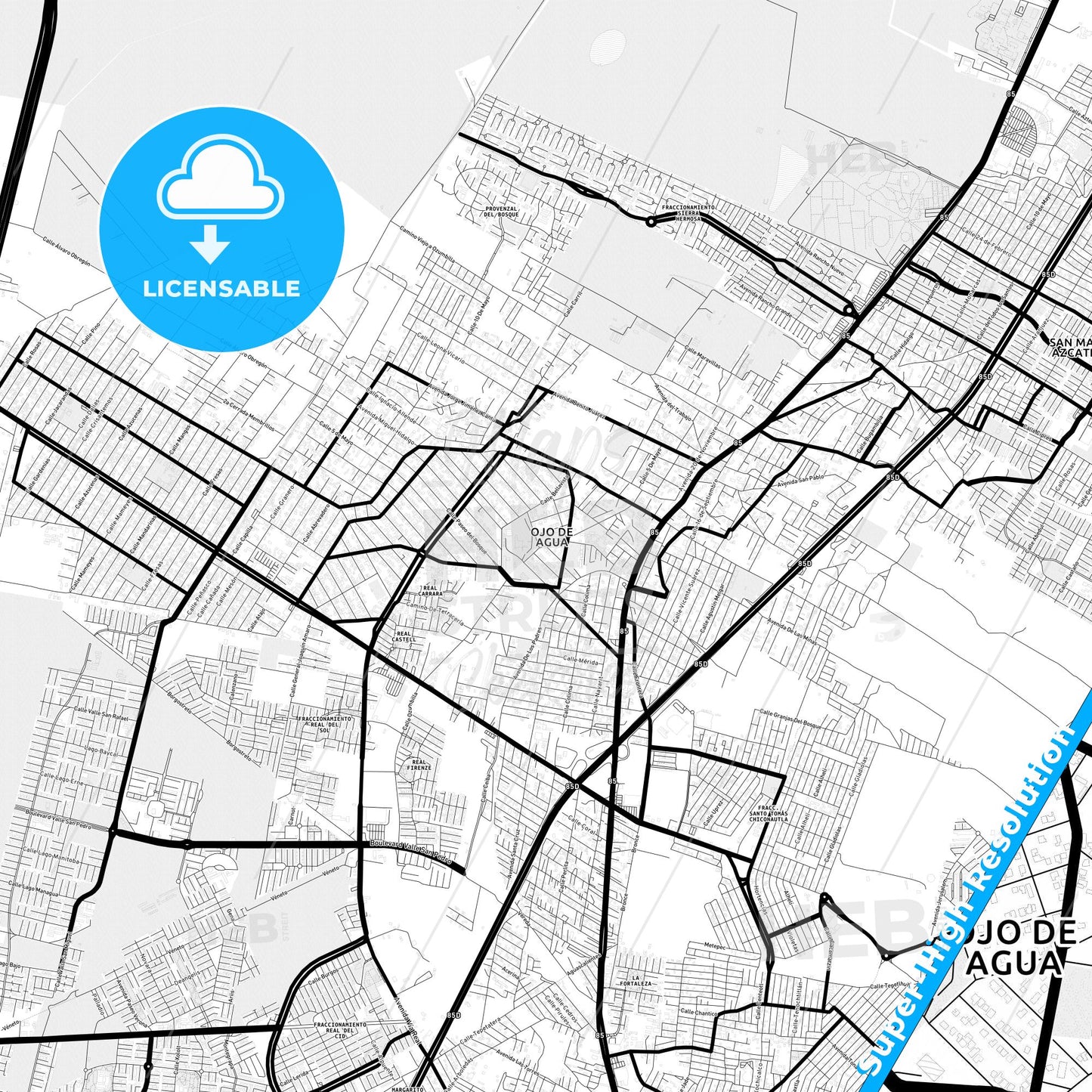 Ojo de Agua, Mexico Light Map with Street Names, City Names, and Districts