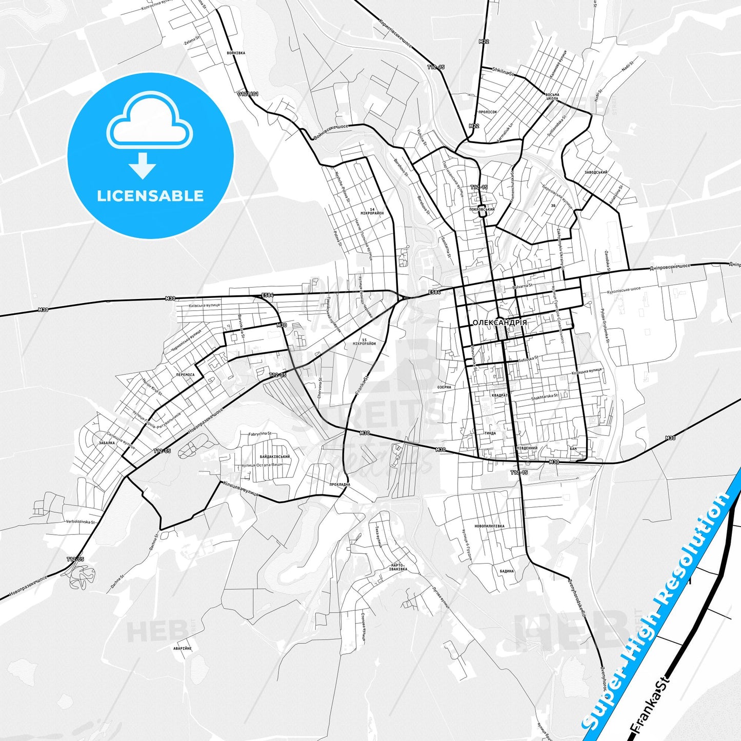 Oleksandriia, Ukraine Light Map with Street Names, City Names, and Districts