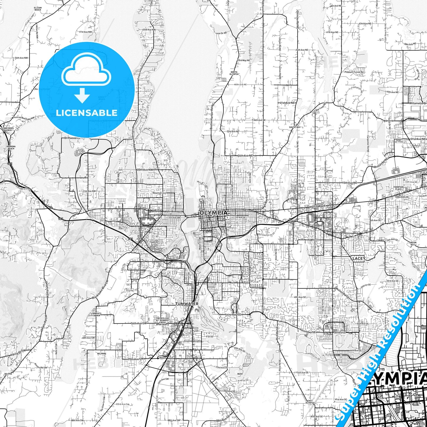 Olympia, Washington light map with streetnames, citynames and districts