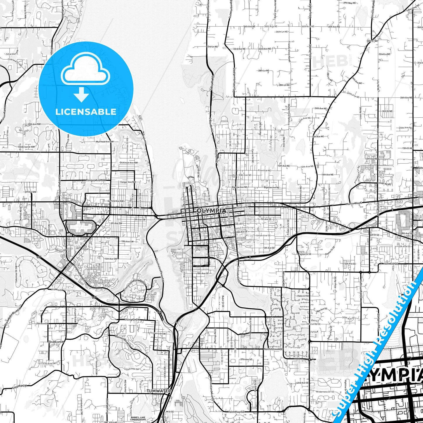Olympia, Washington Light Map with Street Names, City Names, and Districts