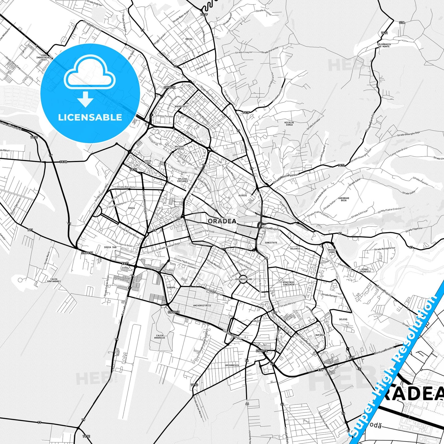 Oradea, Romania Light Map with Street Names, City Names, and Districts
