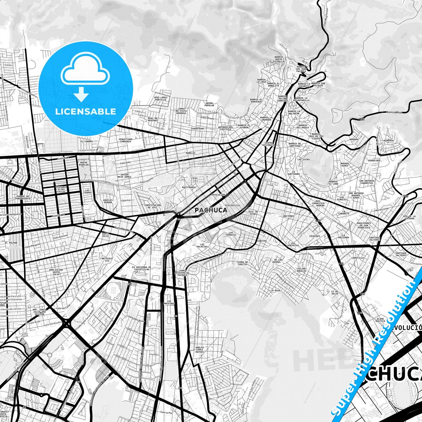 Pachuca, Mexico Light Map with Street Names, City Names, and Districts