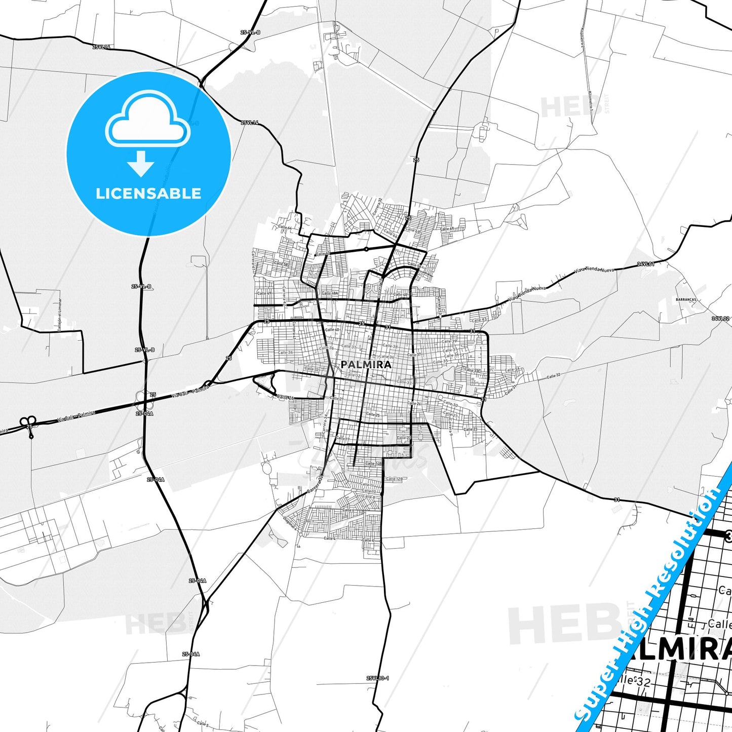 Palmira, Colombia Light Map with Street Names, City Names, and Districts