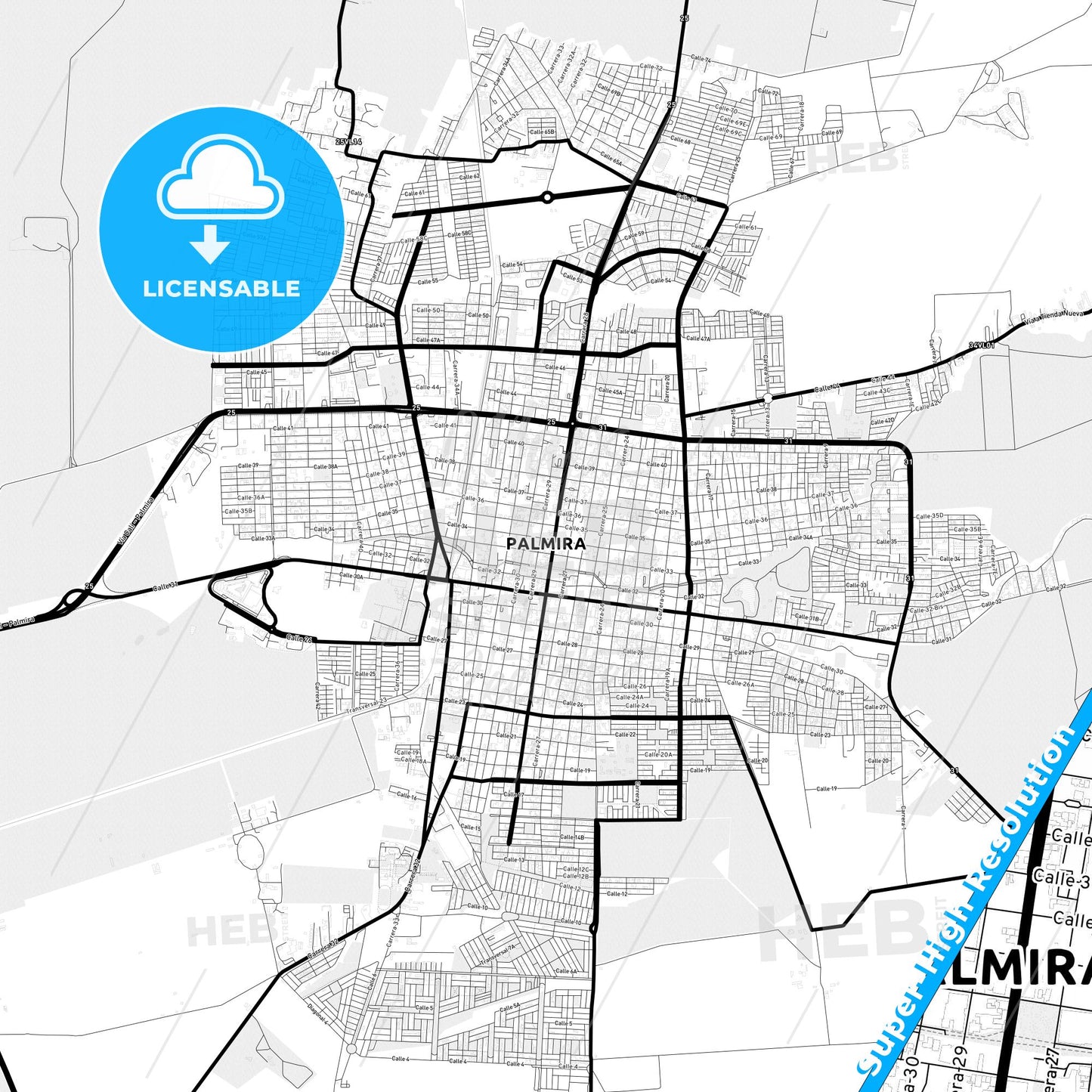 Palmira, Colombia Light Map with Street Names, City Names, and Districts