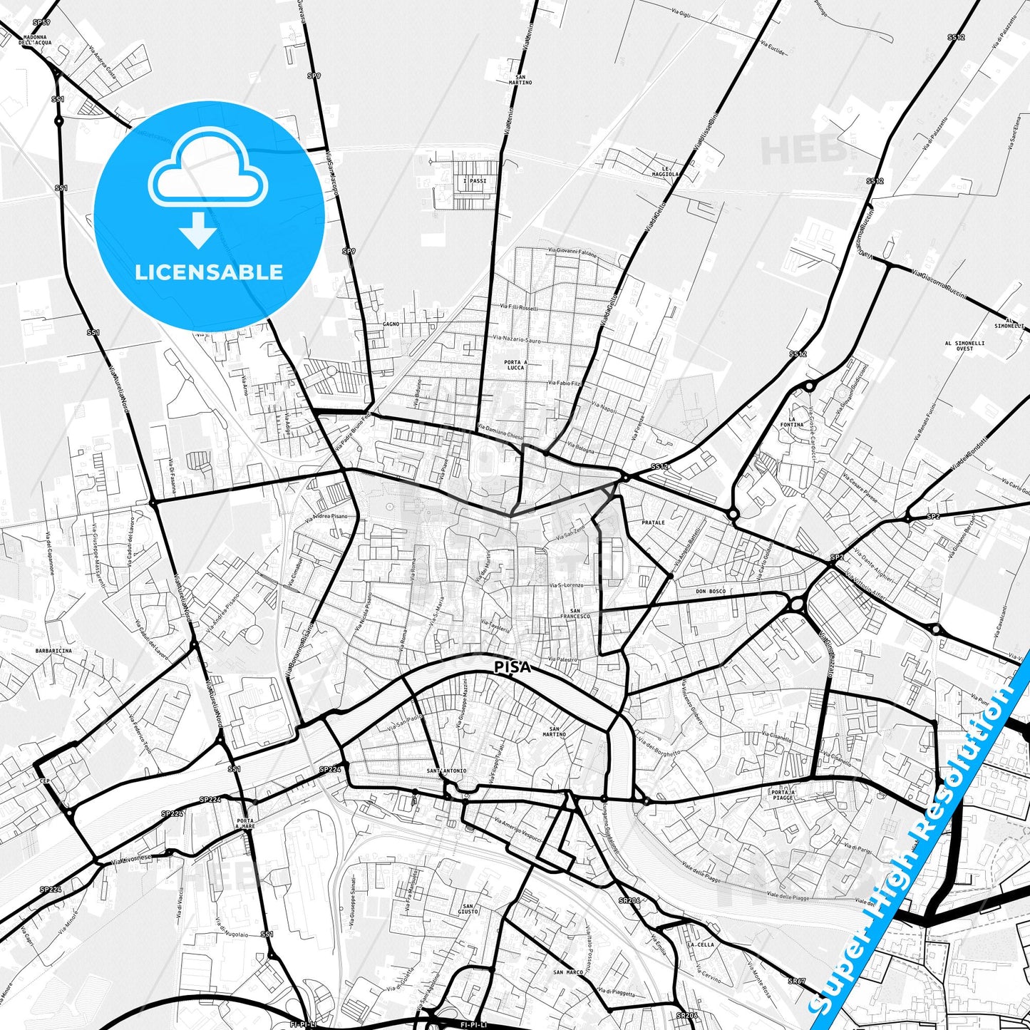 Pisa, Italy Light Map with Street Names, City Names, and Districts