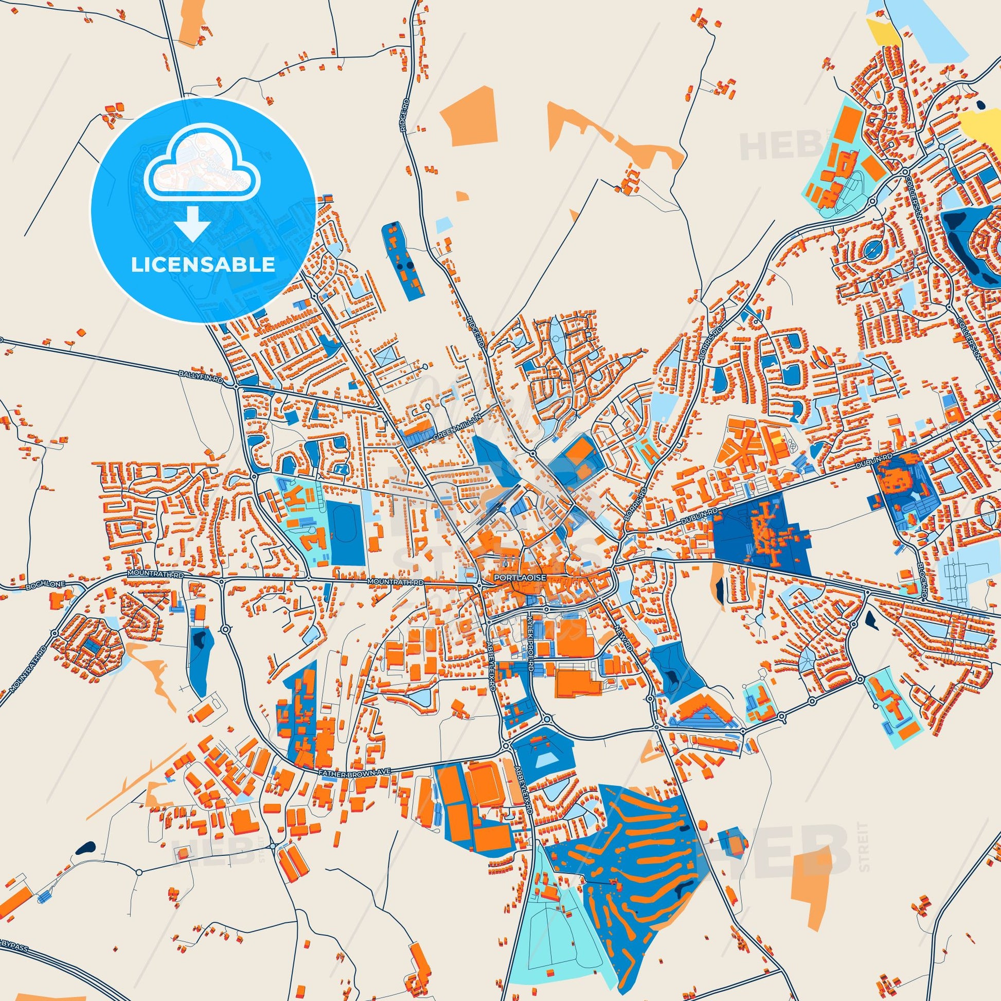 Colorful Port Laoise Street Map with Labels and Buildings