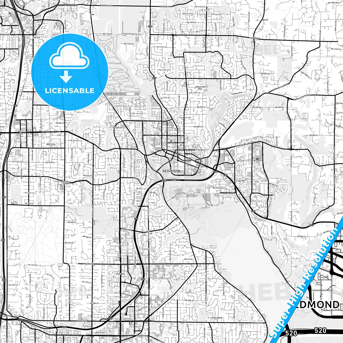 Redmond, Washington Light Map with Street Names, City Names, and Districts